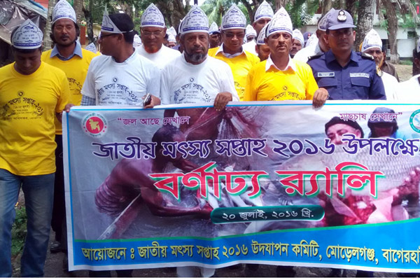 জাতীয় মৎস্য সপ্তাহ উপলক্ষ্যে মোরেলগঞ্জে নানা কর্মসূচি