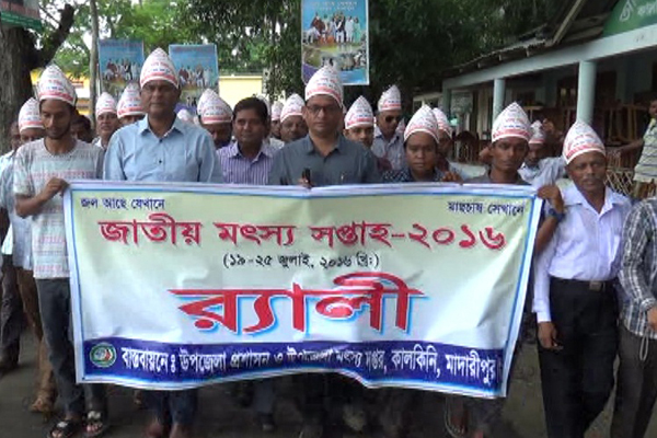 
কালকিনিতে জাতীয় মৎস্য সপ্তাহ উদযাপন