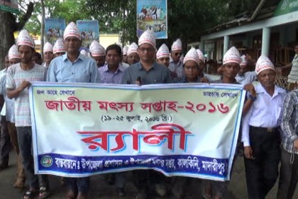 
কালকিনিতে জাতীয় মৎস্য সপ্তাহ উদযাপন
