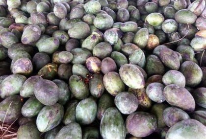 সেজান জুস কারখানাকে জরিমানা 