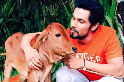 ফেসবুকে বাছুর বিক্রির বিজ্ঞাপন দিলেন রণদীপ হুডা!