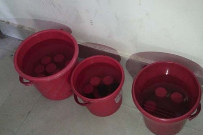 দিনাজপুরে ককটেলসহ আটক ৩