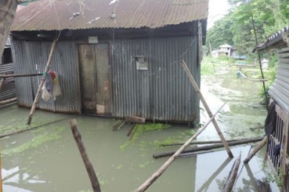 মুন্সীগঞ্জে পদ্মার পানিতে নিম্নাঞ্চল প্লাবিত