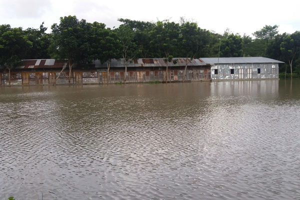 শরীয়তপুরে বন্যায় ১১০টি বিদ্যালয়ের শিক্ষা কার্যক্রম বন্ধ
