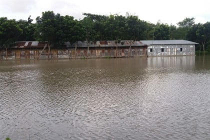শরীয়তপুরে বন্যায় ১১০টি বিদ্যালয়ের শিক্ষা কার্যক্রম বন্ধ