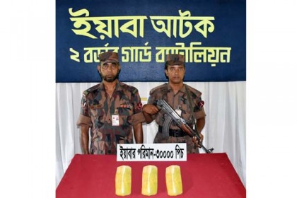 নাফ নদীর কিনারা থেকে ৩০ হাজার পিস ইয়াবা উদ্ধার