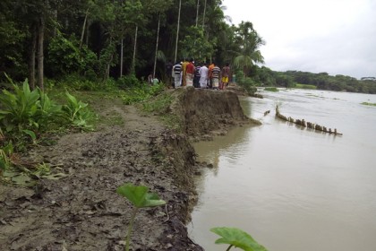 মধুমতি নদীর ভাঙনে ২৫টি বসতবাড়ি বিলীন 