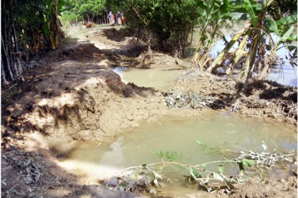 বন্যায় বিধ্বস্ত ফরিদপুরের চরভদ্রাসন
