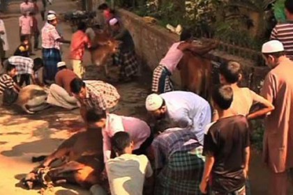 ৬৪ জেলায় পশু কোরবানির ৬ হাজার স্থান নির্ধারণ