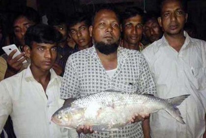 সেই ইলিশ নিয়ে গণভবনে কোরবান আলী