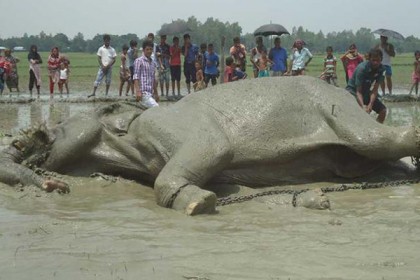 অতিরিক্ত গরমে হার্ট অ্যাটাকে বঙ্গ বাহাদুরের মৃত্যু