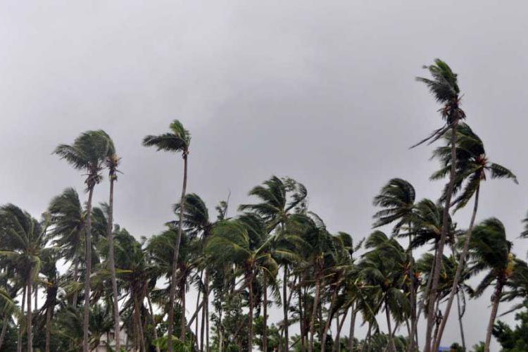 বড়াইগ্রামে ঘূর্ণিঝড়ে ৩০ বাড়ি লণ্ডভণ্ড