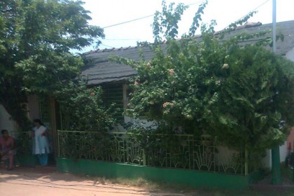 মমতার বাড়িতে ডেঙ্গুর লার্ভা 