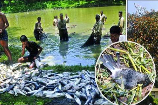 চট্টগ্রামে অ্যামোনিয়া গ্যাসে ক্ষতি ১ কোটি ২৭ লাখ