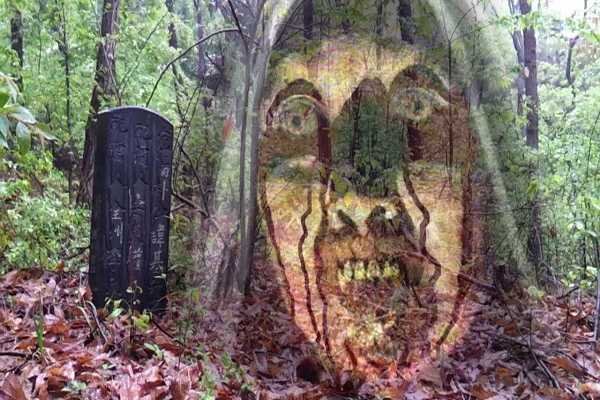 ভূতের মুখোমুখি যেসব বলিউড তারকারা

