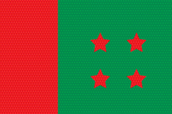 দুই দলের নগর রাজনীতির সংকট