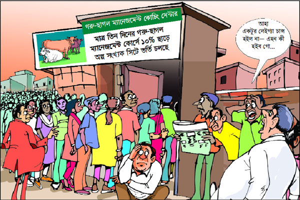 গরু ম্যানেজমেন্ট