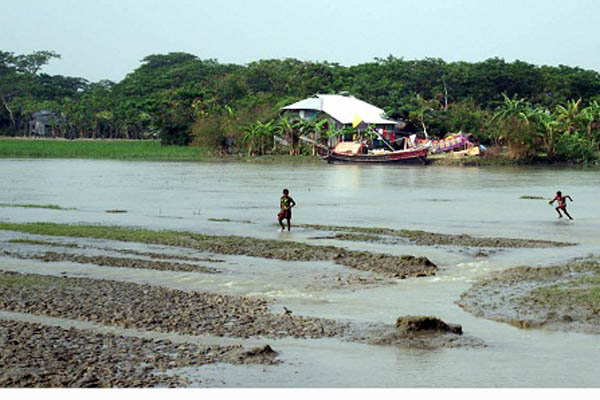 কলাপাড়ায় আমন আবাদ অনিশ্চিত