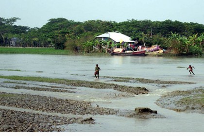 কলাপাড়ায় আমন আবাদ অনিশ্চিত