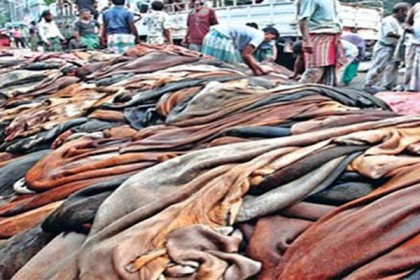 ঢাকায় প্রতি বর্গফুট চামড়া ৫০ টাকা, বাইরে ৪০ 