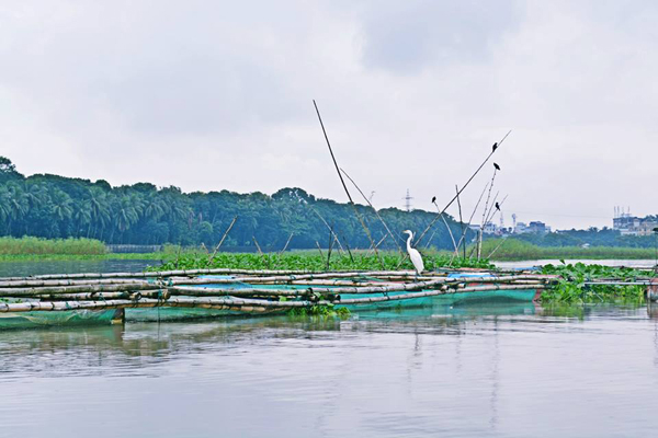 ডাকাতিয়া নদীতে নিখোঁজ স্কুলছাত্রীর লাশ উদ্ধার