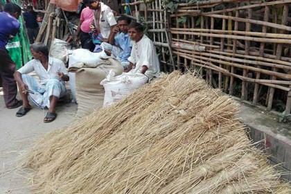 ভূষি-খড় বিক্রির ধুম রাজধানীতে 