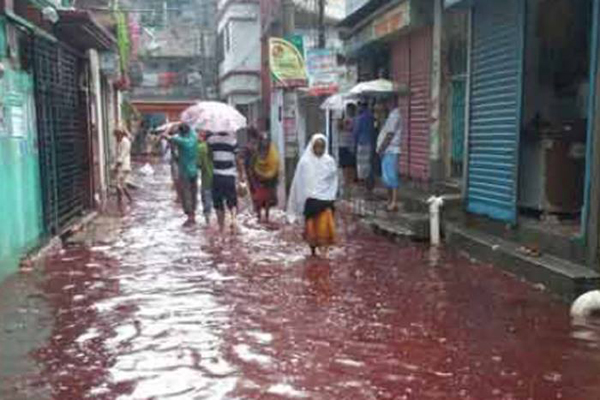 রাজধানীতে কোরবানির পশুর রক্ত-বৃষ্টির পানি একাকার