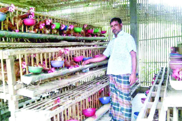 মুরগির খামার করে লাখপতি