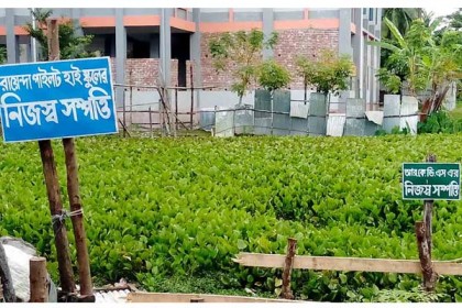 কার সম্পত্তি?