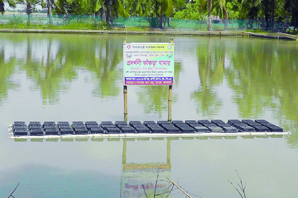 জনপ্রিয় হচ্ছে আধুনিক পদ্ধতিতে কাঁকড়া চাষ