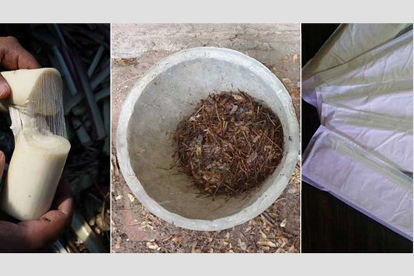 কলা গাছের বর্জ্য দিয়ে স্যানিটারি ন্যাপকিন!