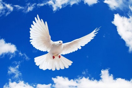 আন্তর্জাতিক শান্তি দিবস আজ