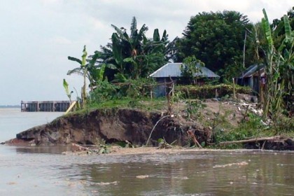 সিরাজগঞ্জের পাঁচঠাকুরীতে যমুনার ভাঙন
