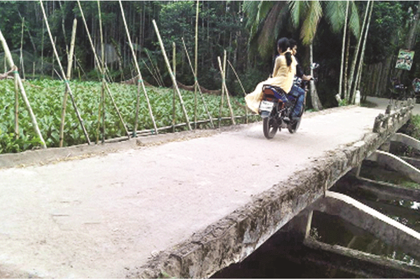 রায়পুরে ঝুঁকিপূর্ণ সেতু দিয়ে পারাপার  

