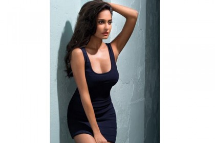 বিয়ে করছেন লিসা হেইডেন!