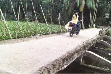 রায়পুরে ঝুঁকিপূর্ণ সেতু দিয়ে পারাপার  

