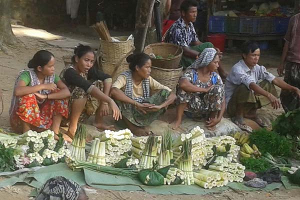 উজাড় হচ্ছে বাঁশ, সরকার হারাচ্ছে রাজস্ব


