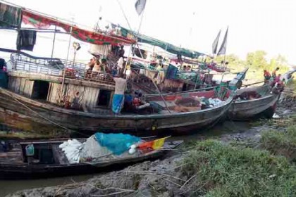 শরণখোলায় জব্দকৃত ইলিশ নিলামে বিক্রি
