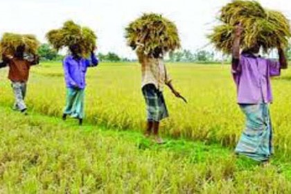 জাতীয় উৎপাদনশীলতা দিবস রবিবার