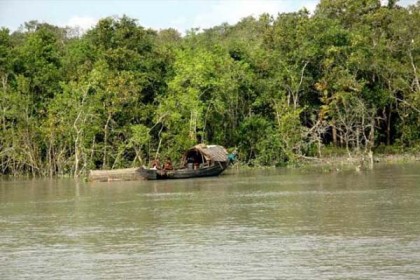 সুন্দরবনের কটকা অভয়ারণ্যে তিন জেলে আটক
