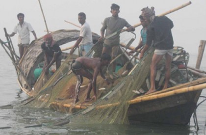 ২২ দিন ইলিশ ধরায় নিষেধাজ্ঞা সরকারের