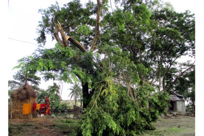 কলাপাড়ায় আকস্মিক টর্নেডো


