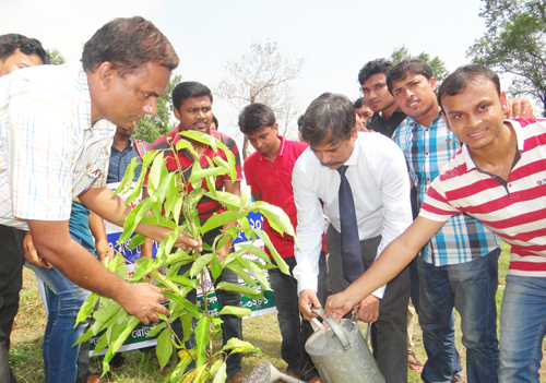 ইবিতে বৃক্ষরোপণ ও মাছের পোনা অবমুক্তকরণ