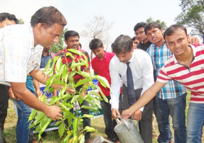 ইবিতে বৃক্ষরোপণ ও মাছের পোনা অবমুক্তকরণ
