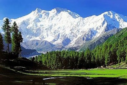 কাশ্মীরে ঢুকে পড়েছে ২৫০ জঙ্গি