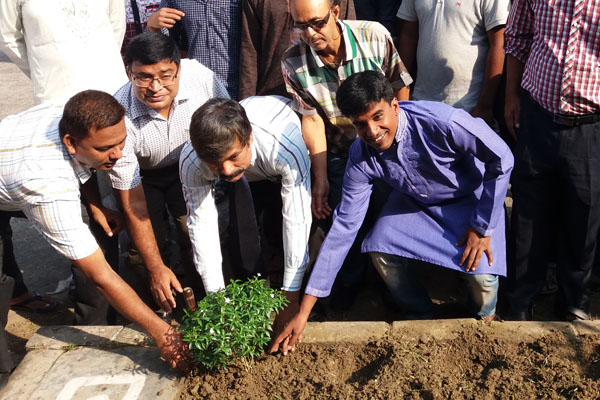 ইবিতে সৌন্দর্যবর্দ্ধক ফুলের চারা রোপণ
