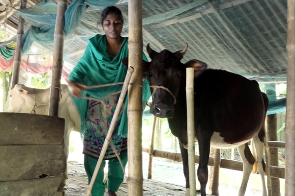 দারিদ্র্য জয়ের গল্প শুনতে বরিশাল যাচ্ছেন বিশ্বব্যাংক প্রেসিডেন্ট


