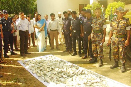 ফরিদপুরে ১১ জেলে আটক, সাড়ে চার মণ ইলিশ জব্দ