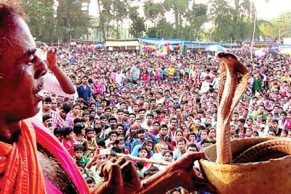 সাপ মেলায় জনতার ঢল