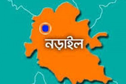 নড়াইলে জাতীয় নিরাপদ সড়ক দিবস পালিত